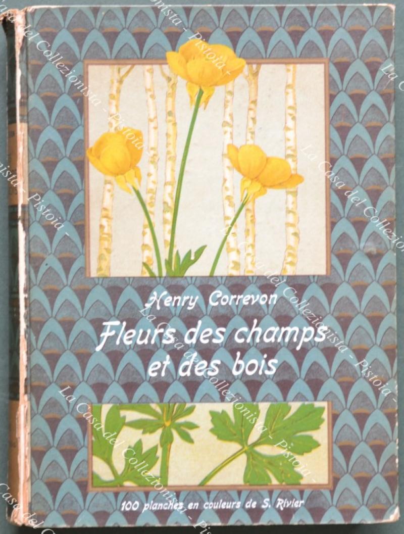 FLEURS DES CHAMPS ET DE BOIS DES HAIES ET DES MURS. Avec 100 planches en culeurs de S. Rivier.