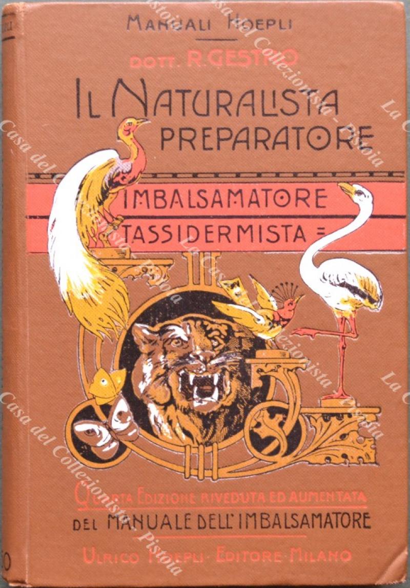 Il naturalista preparatore - imbalsamatore - tassidermista.