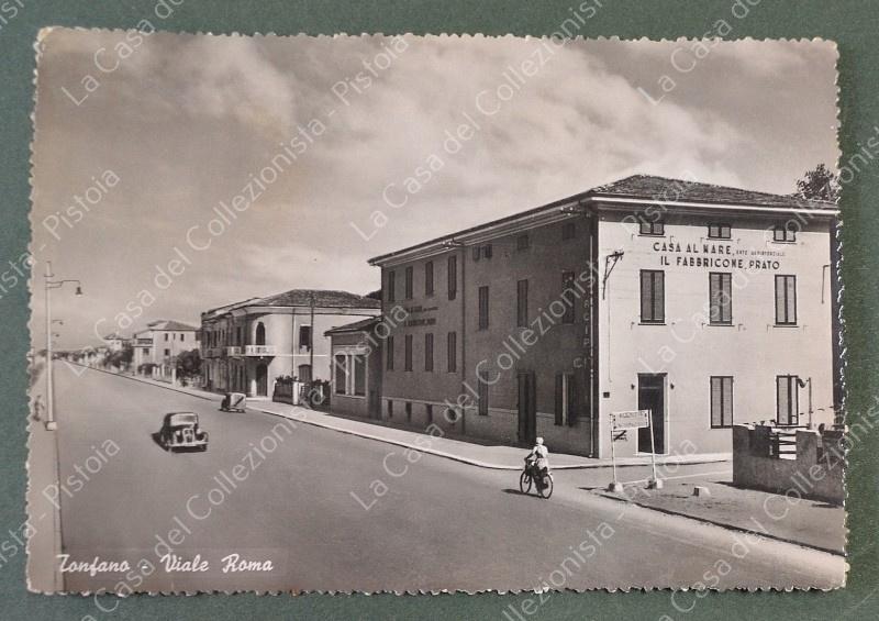 TONFANO, Lucca. Viale Roma. Cartolina d'epoca viaggiata