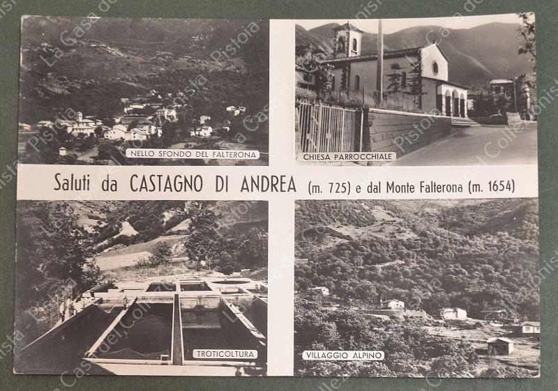 CASTAGNO D'ANDREA, Firenze. Cartolina d'epoca viaggiata