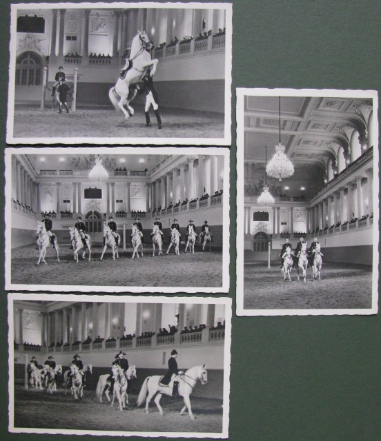 EQUITAZIONE - VIENNA.