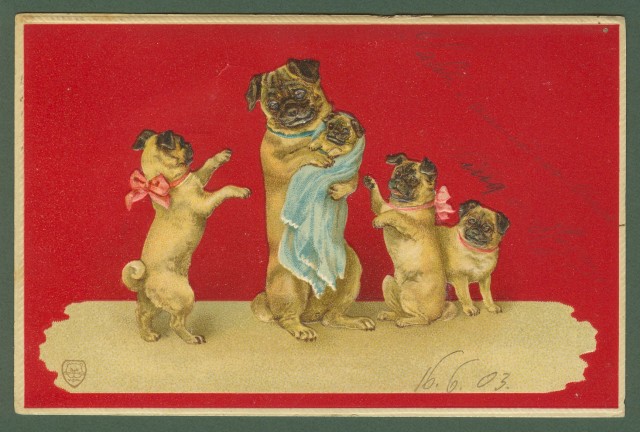 Cartolina d'epoca a rilievo. Animali - Cani. Viaggiata nel 1903.